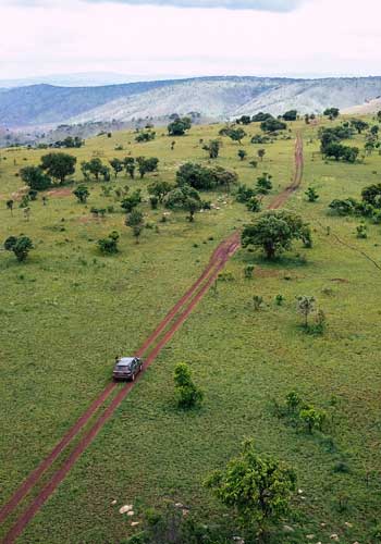 Vue panoramique du parc national de l'Akagera